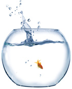 “I was made to feel like a small fish in a big pond”