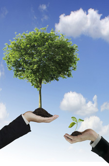 accountants leeds